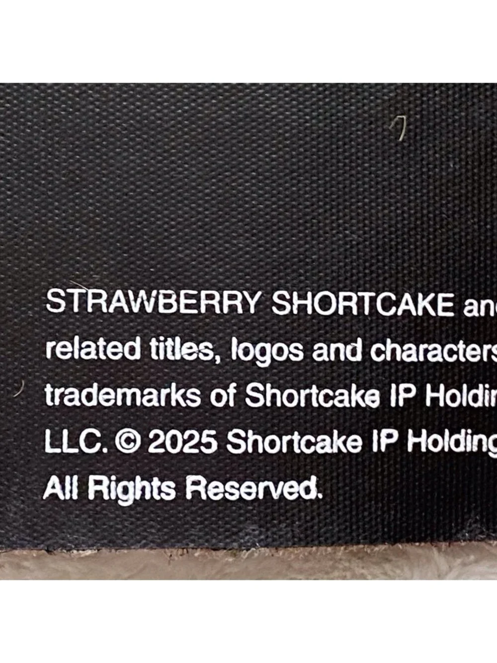 Strawberry Shortcake Valentines LOVE Welcome Coir Doormat‎ 18” X 30” NEW